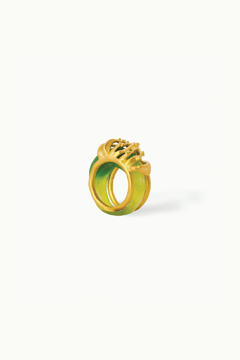 HALO GOLD LARGE RING SET - CULT MIA