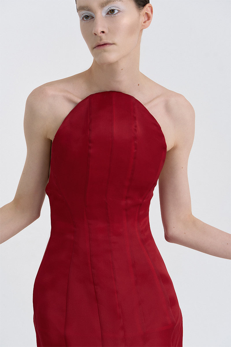 CORSET SILK GOWN IN RED - CULT MIA