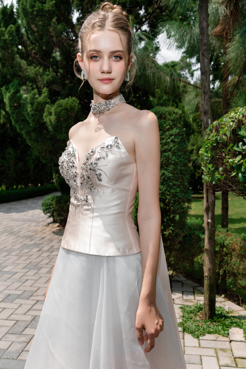 ANASTASIA EMBELLISHED CORSET GOWN - CULT MIA