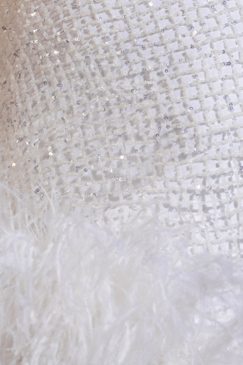 IZABELLA CRYSTAL FEATHER-TRIMMED MINI DRESS | Monika Dimova | CULT MIA