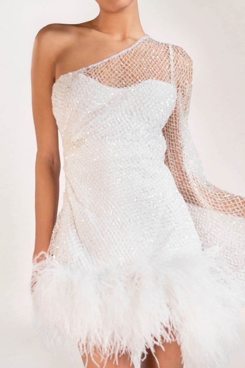 IZABELLA CRYSTAL FEATHER-TRIMMED MINI DRESS | Monika Dimova | CULT MIA