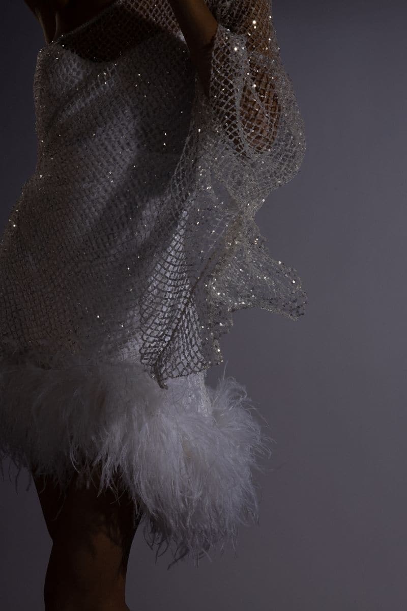 IZABELLA CRYSTAL FEATHER-TRIMMED MINI DRESS | Monika Dimova | CULT MIA
