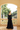 BLANCHE CREPE GOWN - CULT MIA