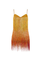 CEM beaded mesh mini dress featuring intricate beadwork and a sleek, fitted silhouette perfect for stylish evening wear.