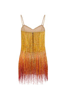 CEM beaded mesh mini dress featuring intricate beadwork and sheer mesh fabric, stylish and elegant for evening wear.