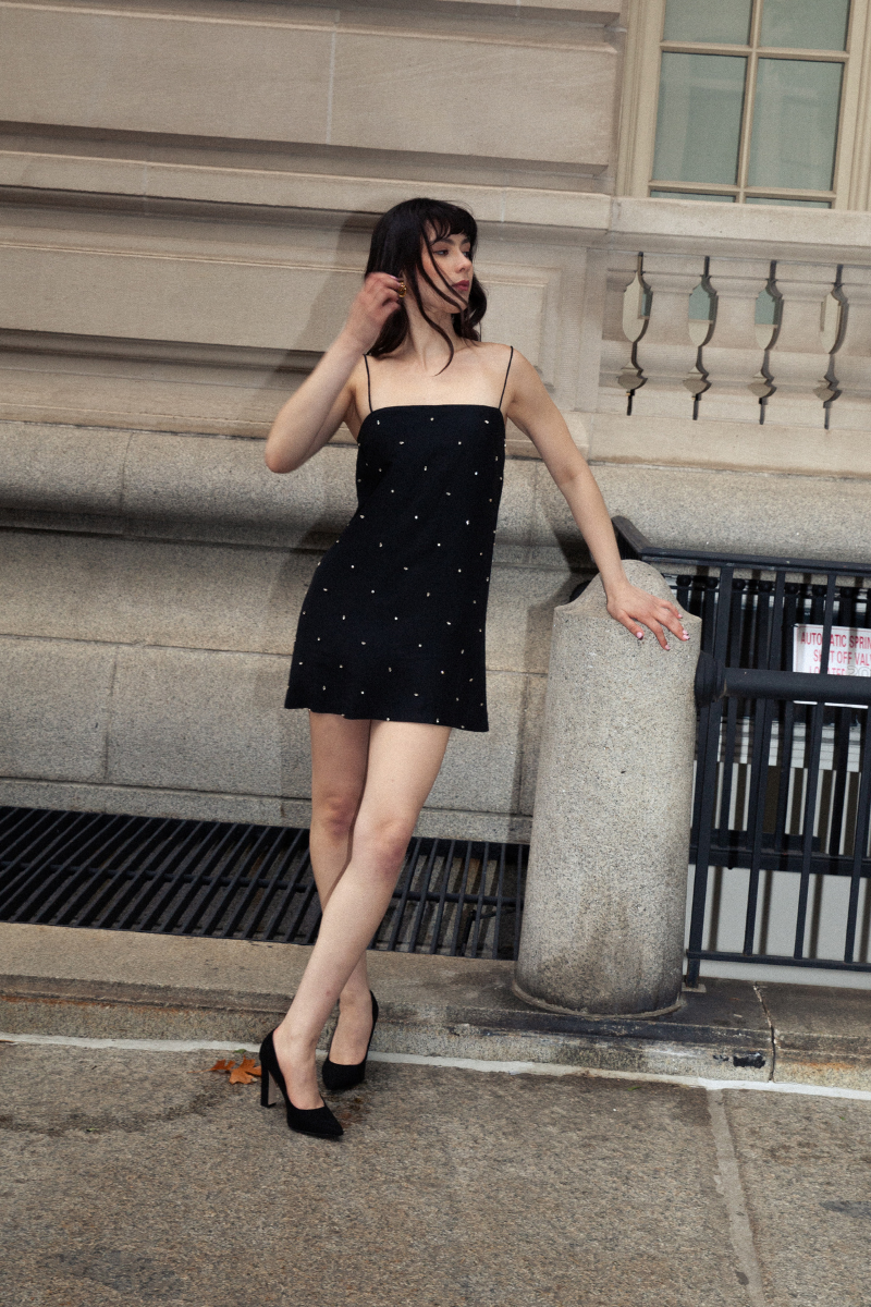 BRAVA DRESS IN EMBELLISHED - CULT MIA