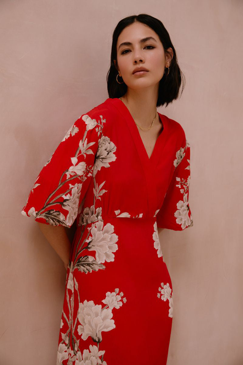 Raishma Frankie Dress, elegant midi dress with intricate details, showcased in a stylish image.