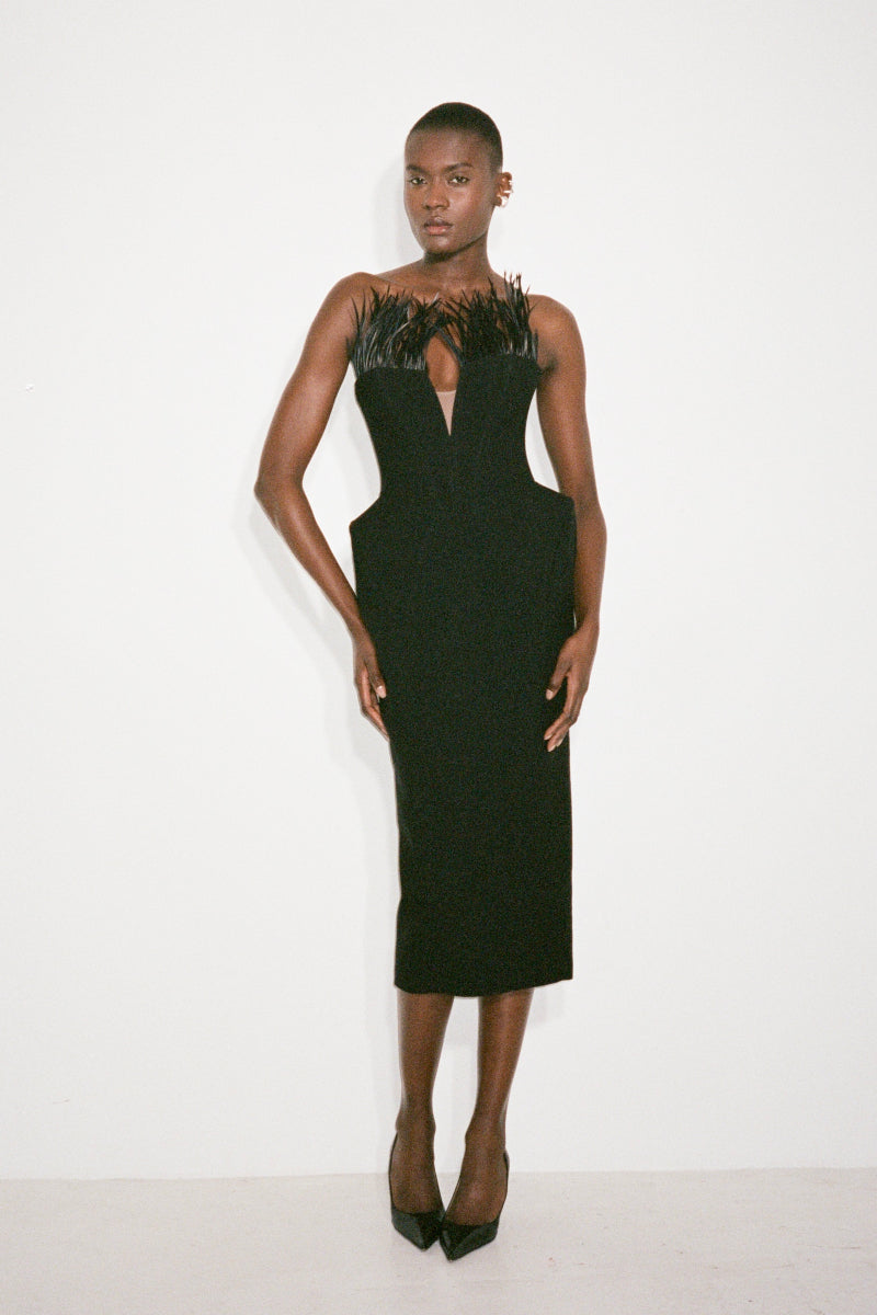 Nué Harper Feather Midi Dress featuring elegant feather details and a flowing silhouette.