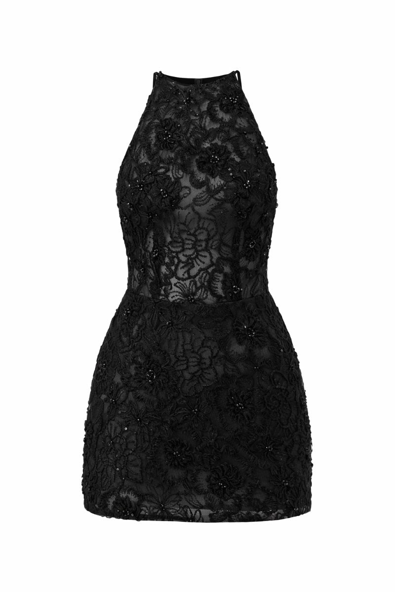 Black Amira lace mini dress by 21Six, featuring intricate lace details and a fitted silhouette, perfect for elegant occasions.