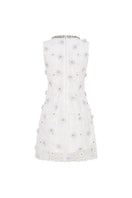Valenciani mini lace dress with floral applique, featuring delicate lace fabric and intricate floral details on the front.