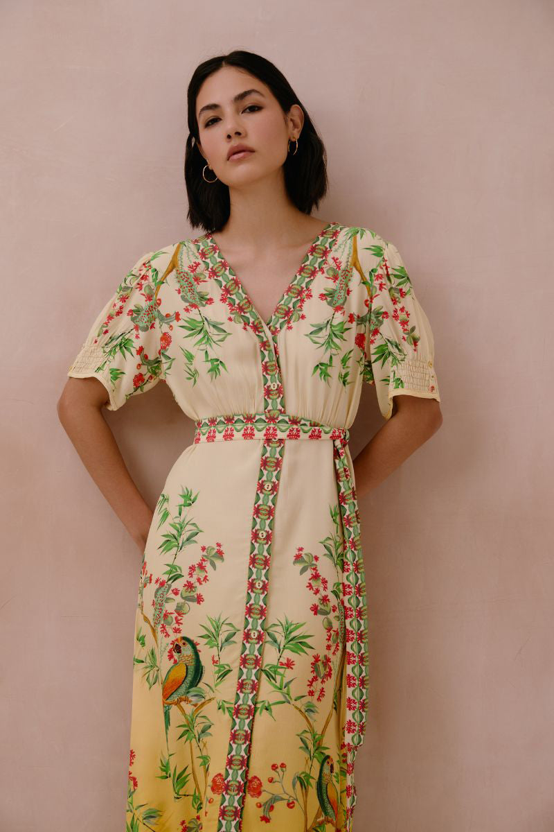 Raishma Ivanna midi dress featuring a fitted silhouette and elegant design, perfect for stylish occasions.