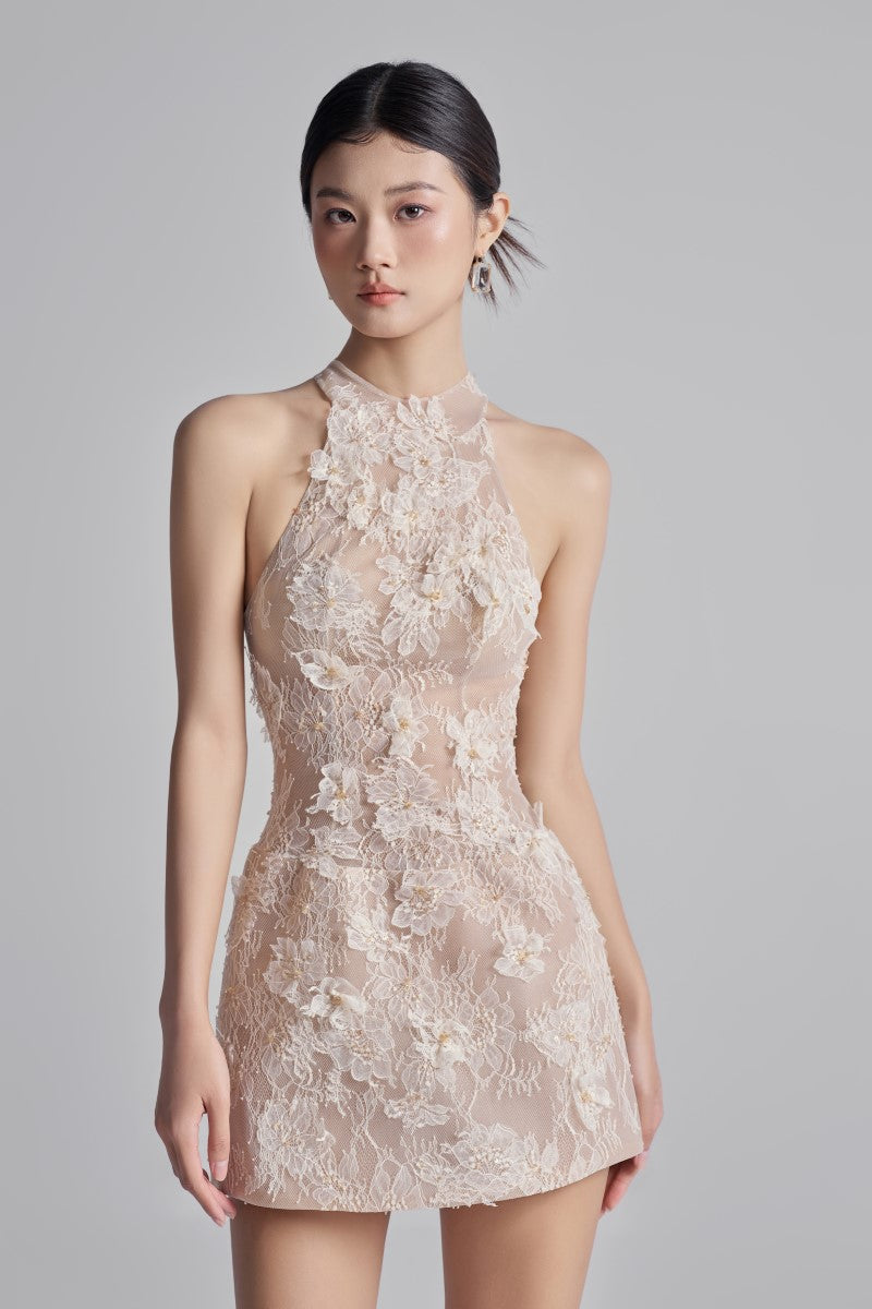 AURELIA LACE DRESS IN BEIGE - CULT MIA