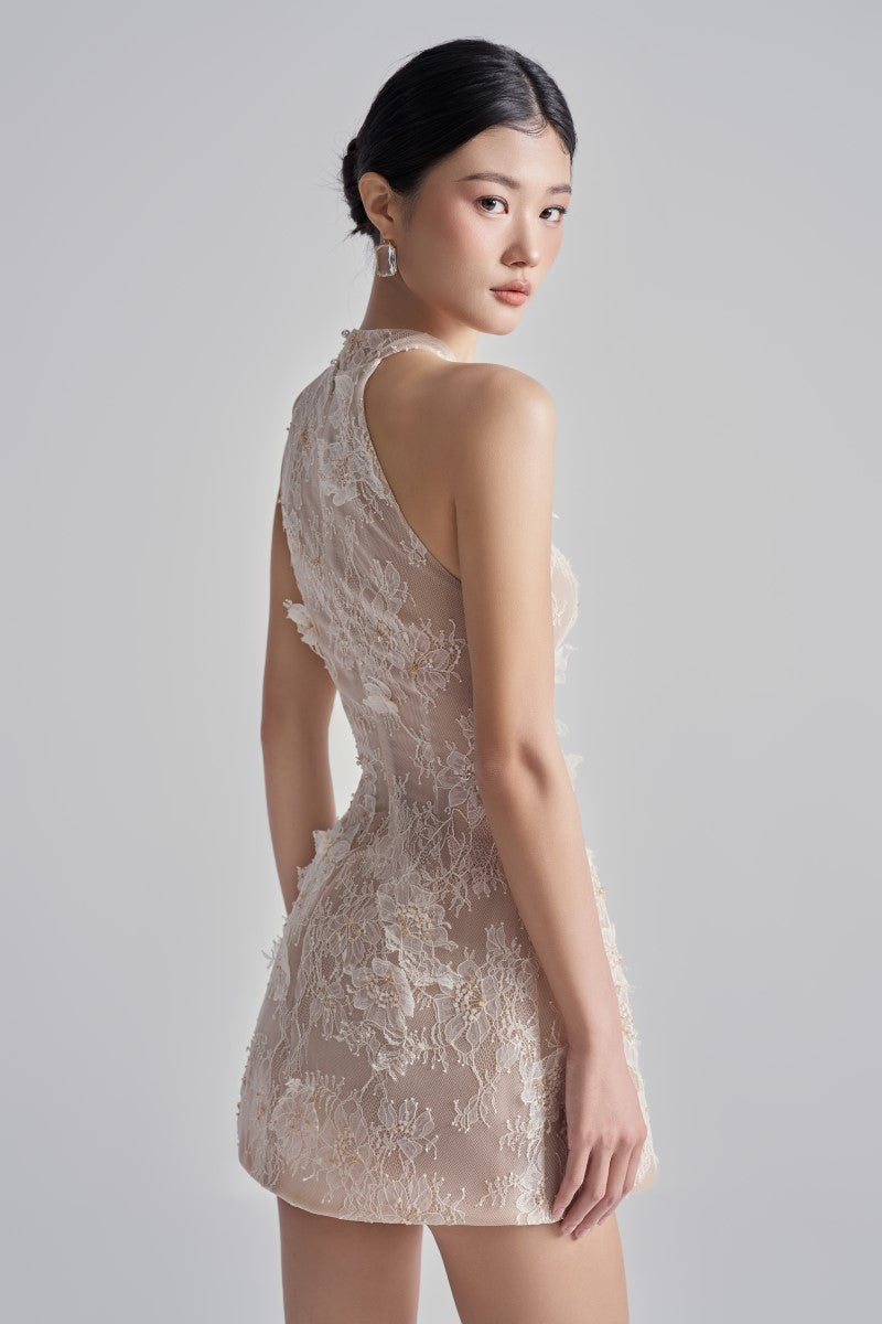 AURELIA LACE DRESS IN BEIGE - CULT MIA