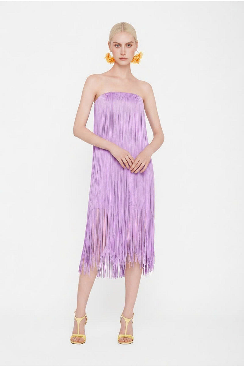 Valenciani lilac all-over fringe midi dress featuring flowing fabric and fringe details, perfect for stylish occasions.