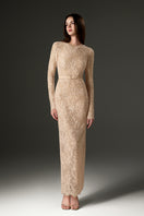 Beige I.H.F Studio long sleeve mesh lace midi dress with intricate lace details and sheer mesh fabric, styled as a maxi dress.