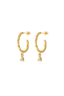 Peracas Lily Hoops earrings, gold-tone hoop jewelry with a sleek, modern design, shown on white background.