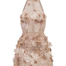 Beige Emilia lace mini dress by 21Six, featuring delicate lace fabric and a fitted silhouette, perfect for stylish occasions.