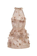 Beige Emilia lace mini dress by 21Six, featuring delicate lace fabric and a fitted silhouette, perfect for stylish occasions.