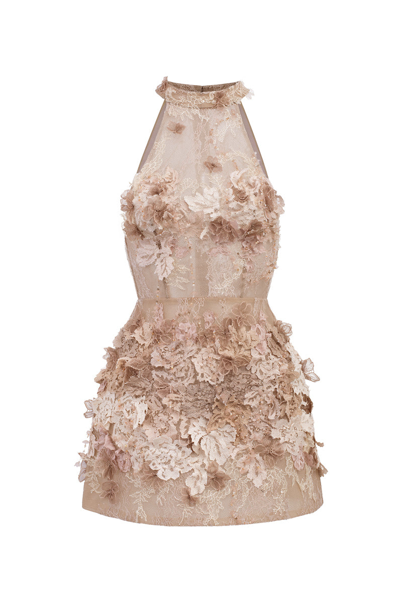 Beige Emilia lace mini dress by 21Six, featuring delicate lace fabric and a fitted silhouette, perfect for stylish occasions.