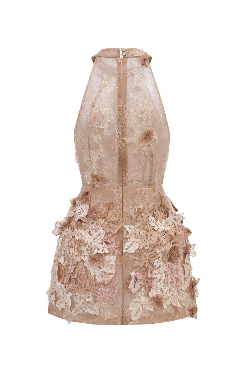 Beige Emilia lace mini dress by 21Six featuring delicate lace details and a fitted silhouette.