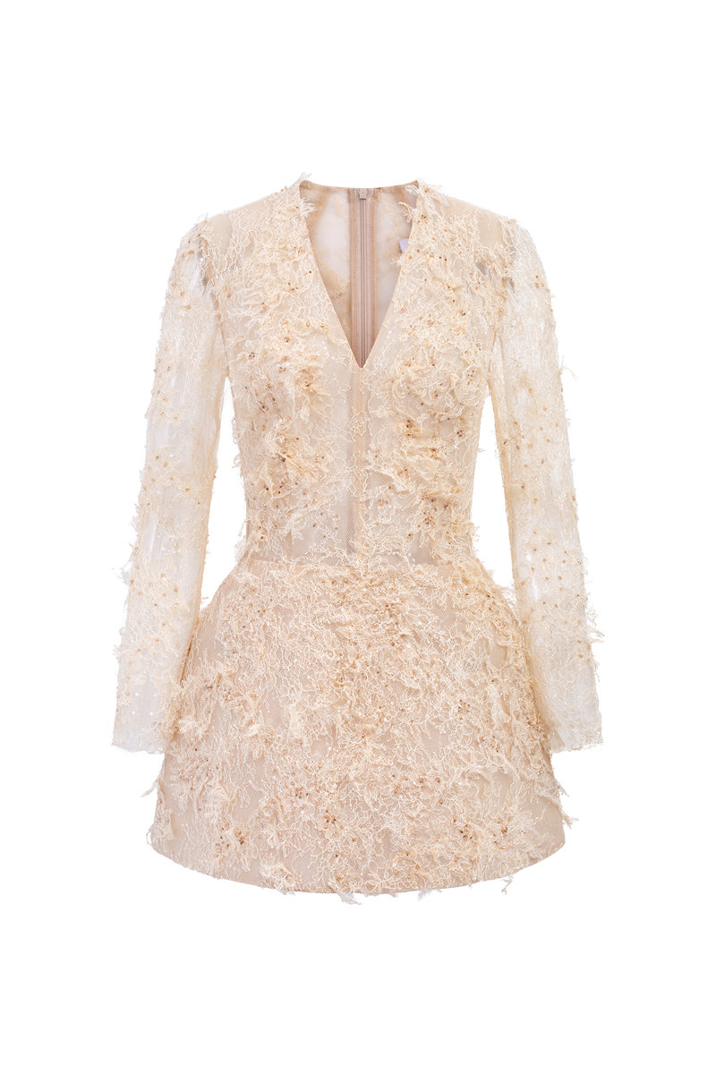 Beige Annalise lace mini dress by 21Six featuring intricate lace details and a fitted silhouette.