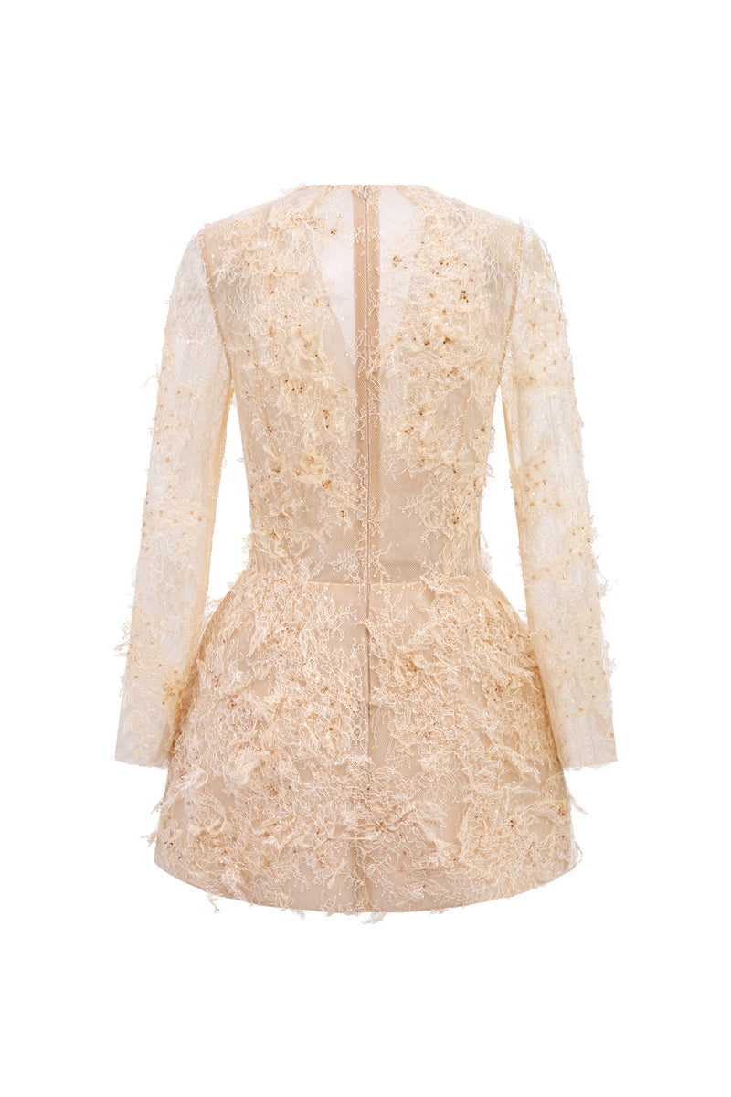 Beige Annalise lace mini dress by 21Six featuring delicate lace fabric and a fitted silhouette.