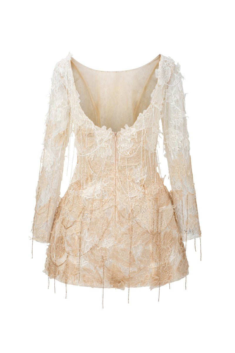 White and beige Lucienne lace mini dress by 21Six, featuring intricate lace details and a stylish, elegant design.