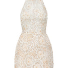 Beige Amira lace mini dress by 21Six featuring delicate lace fabric and a fitted silhouette.