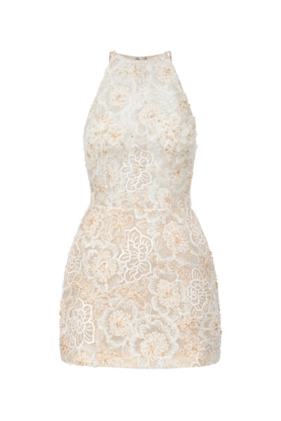AMIRA LACE DRESS IN BEIGE | CULT MIA | 21Six