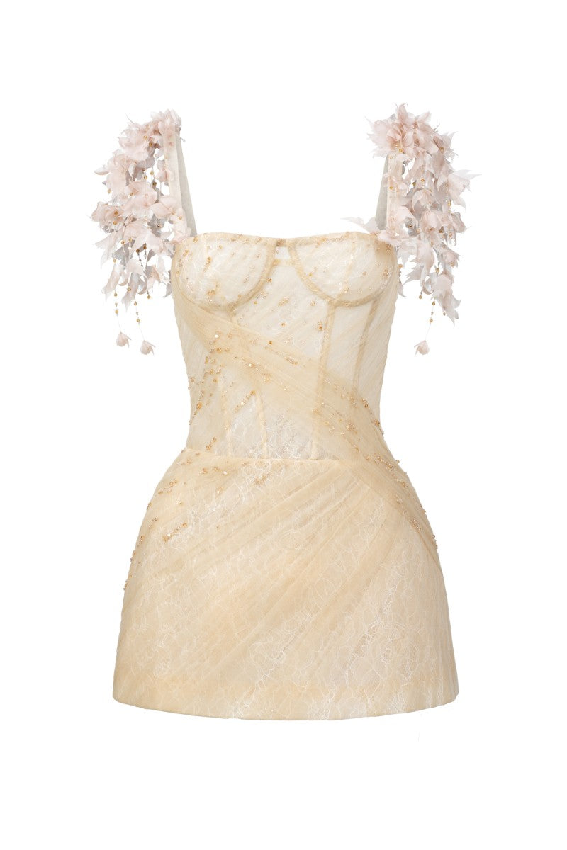 Beige Catalina tulle and lace mini dress by 21Six, featuring delicate lace details and a fitted silhouette.