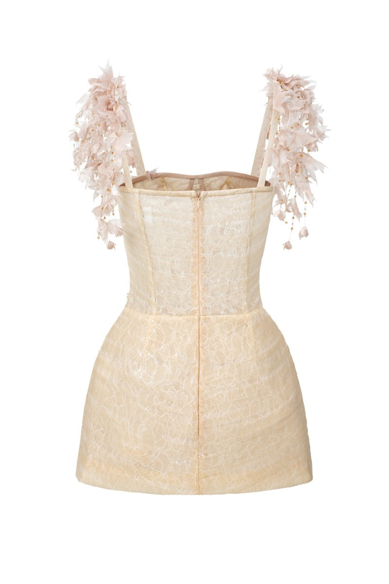 Beige Catalina tulle and lace mini dress by 21Six featuring delicate lace details and a flowy tulle skirt.
