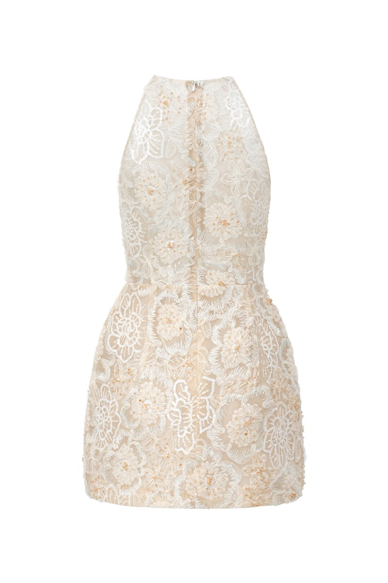 Beige Amira lace mini dress by 21Six featuring intricate lace details and a stylish, fitted silhouette.