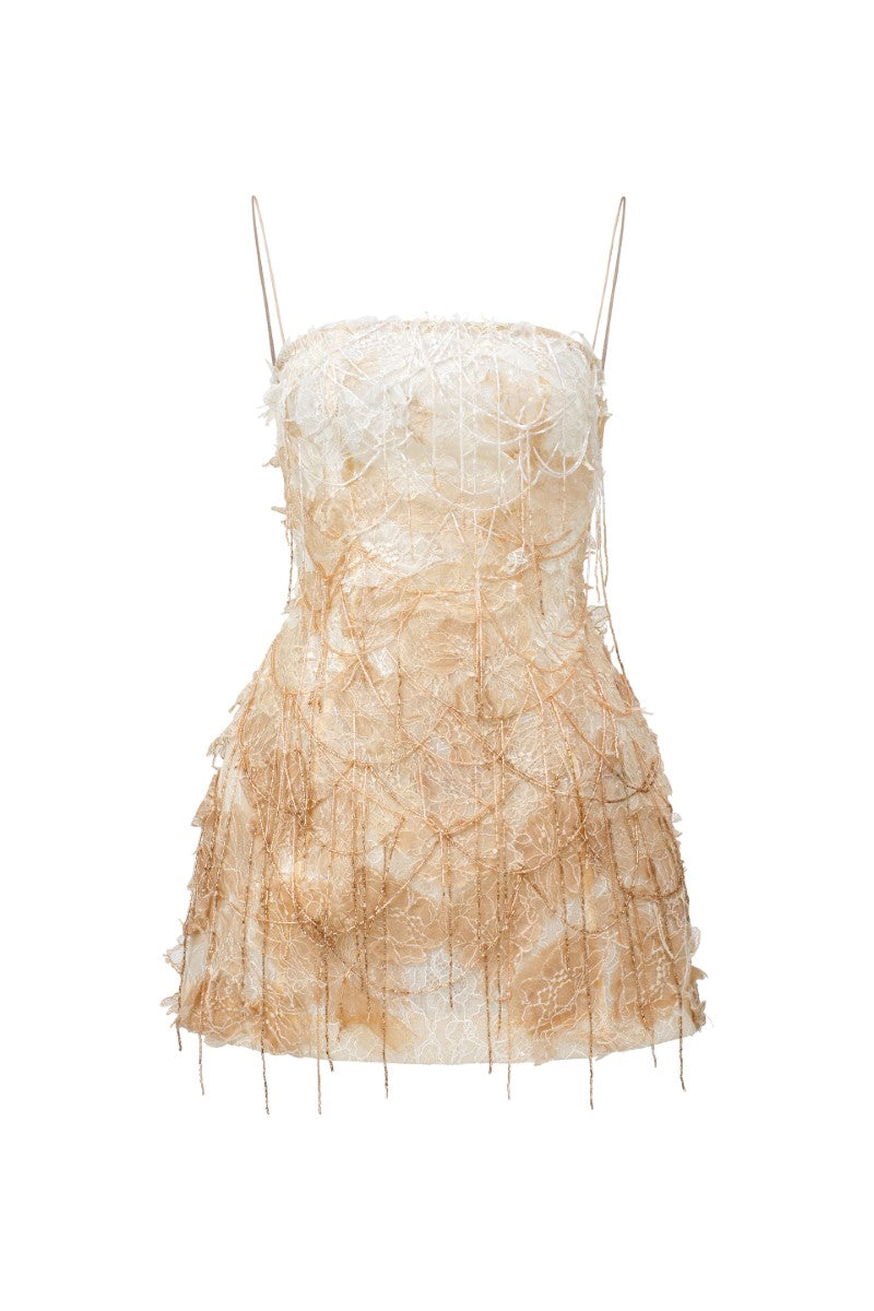 21SIX | CULT MIA 21SIX | CULT MIA