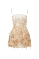 White and beige CELIA lace mini dress by 21Six, featuring intricate lace details and a fitted silhouette.