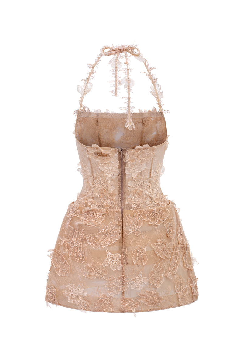 Beige ELISA lace mini dress by 21Six featuring intricate lace details and a stylish, fitted silhouette.