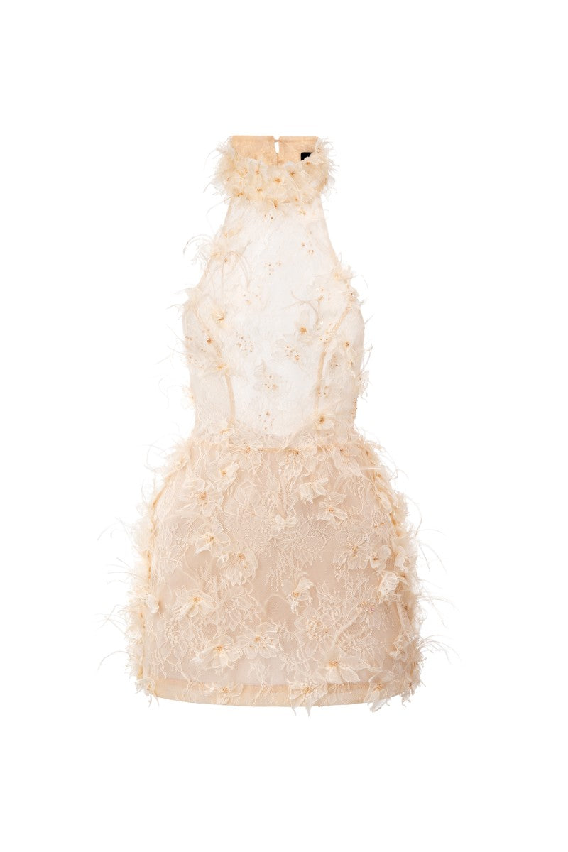 Beige mini dress with lace, floral, and feather details by 21Six, shown on a model with a stylish elegant design.