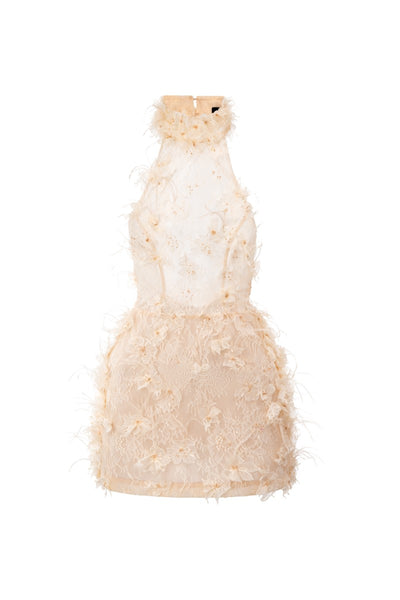 Acka all sheer flower dress（beige） White Maxi Dress - Floral Embroidered Dress - Beige Mesh dress