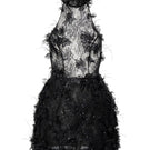 Black mini dress by 21Six with lace, floral embroidery, and feather details, featuring a fitted silhouette and stylish design.
