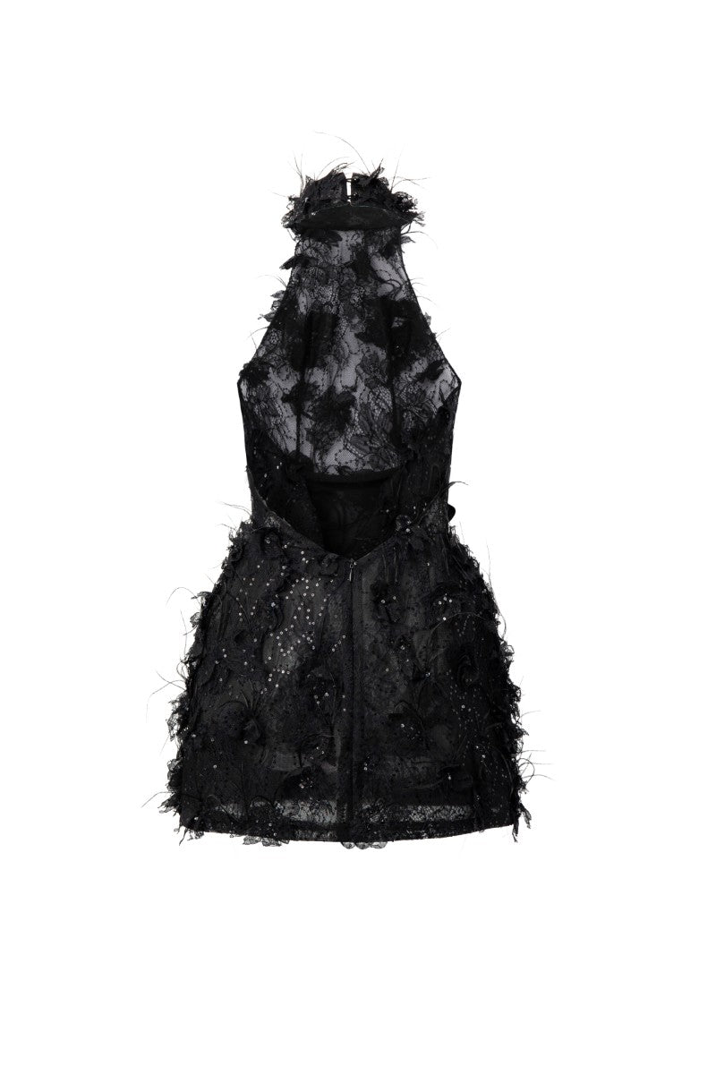 Black mini dress by 21Six featuring lace, floral patterns, and feather details, perfect for stylish occasions.