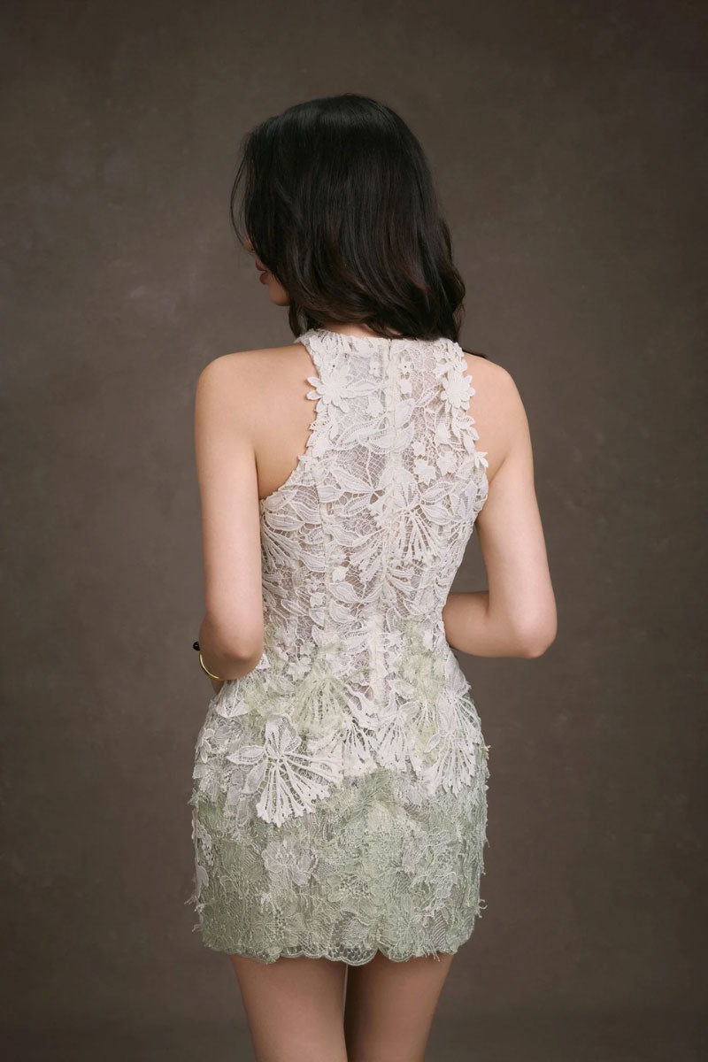 Keira Tong Gardenia Lace Dress, a stylish mini dress with intricate lace details and a feminine fit, perfect for summer occasions.