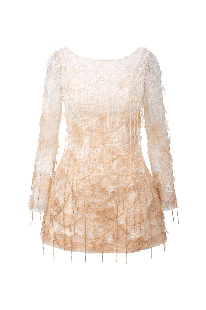White and beige Lucienne lace mini dress by 21Six, featuring intricate lace details and a fitted silhouette.