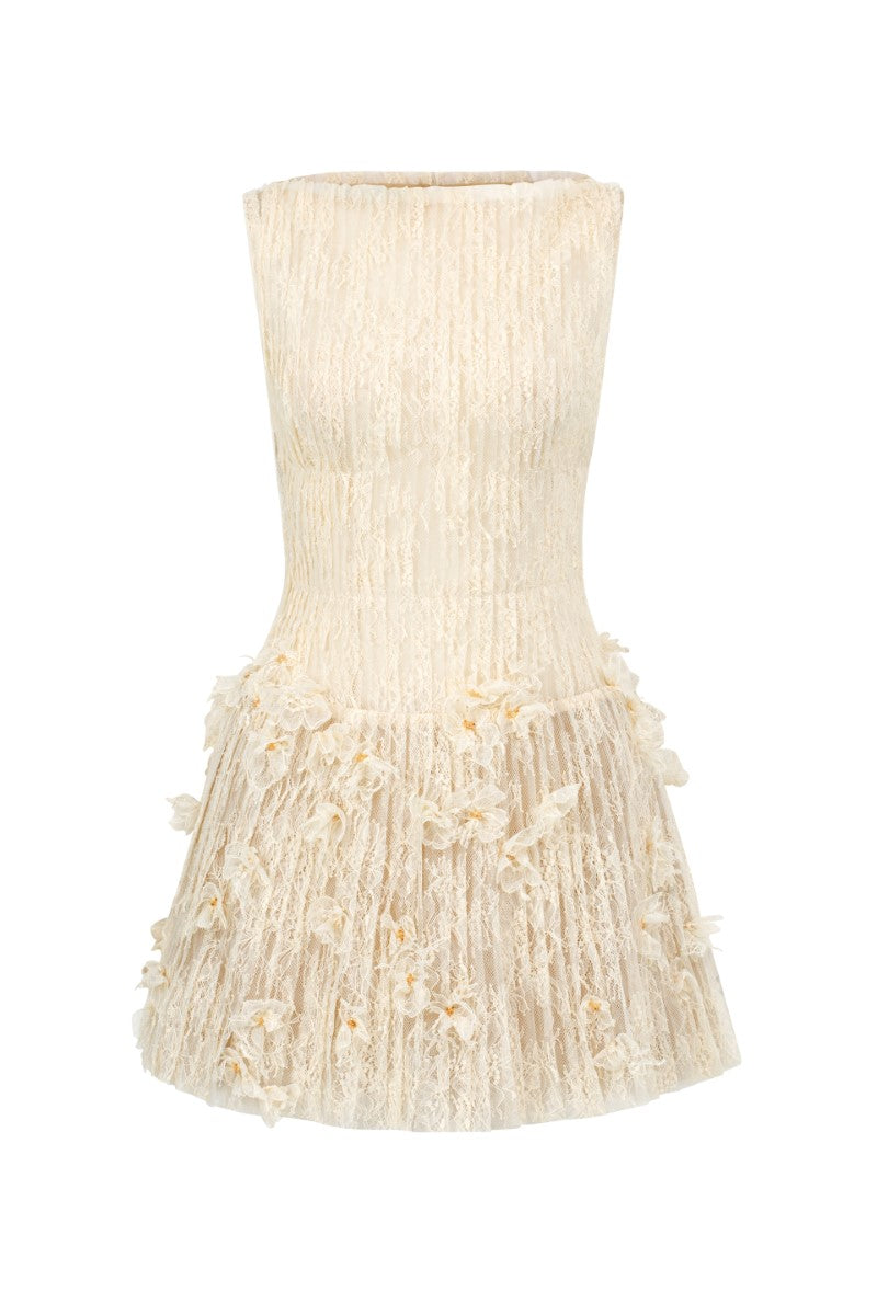 FLAVIA LACE DRESS IN BEIGE - CULT MIA