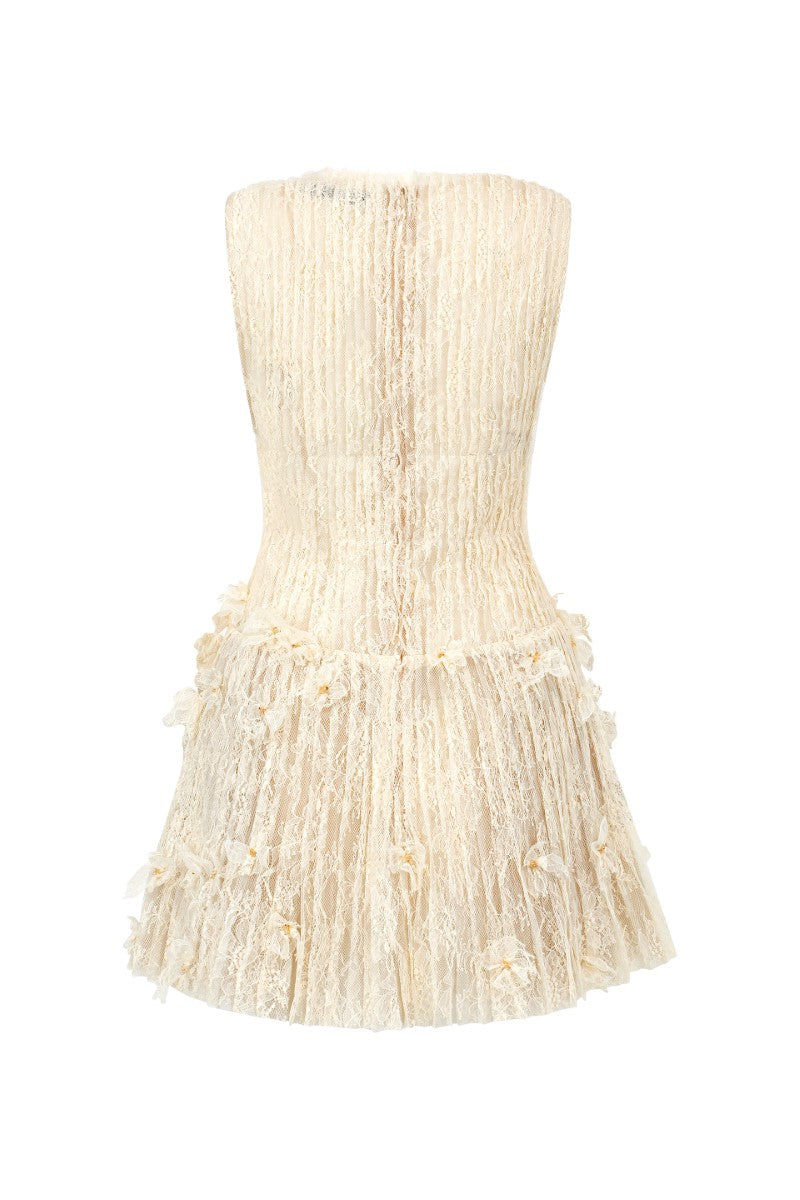 Beige Flavia lace mini dress by 21Six, featuring intricate lace details and a fitted silhouette perfect for stylish occasions.