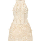 Beige Aurelia lace mini dress by 21Six featuring delicate lace details and a fitted silhouette.