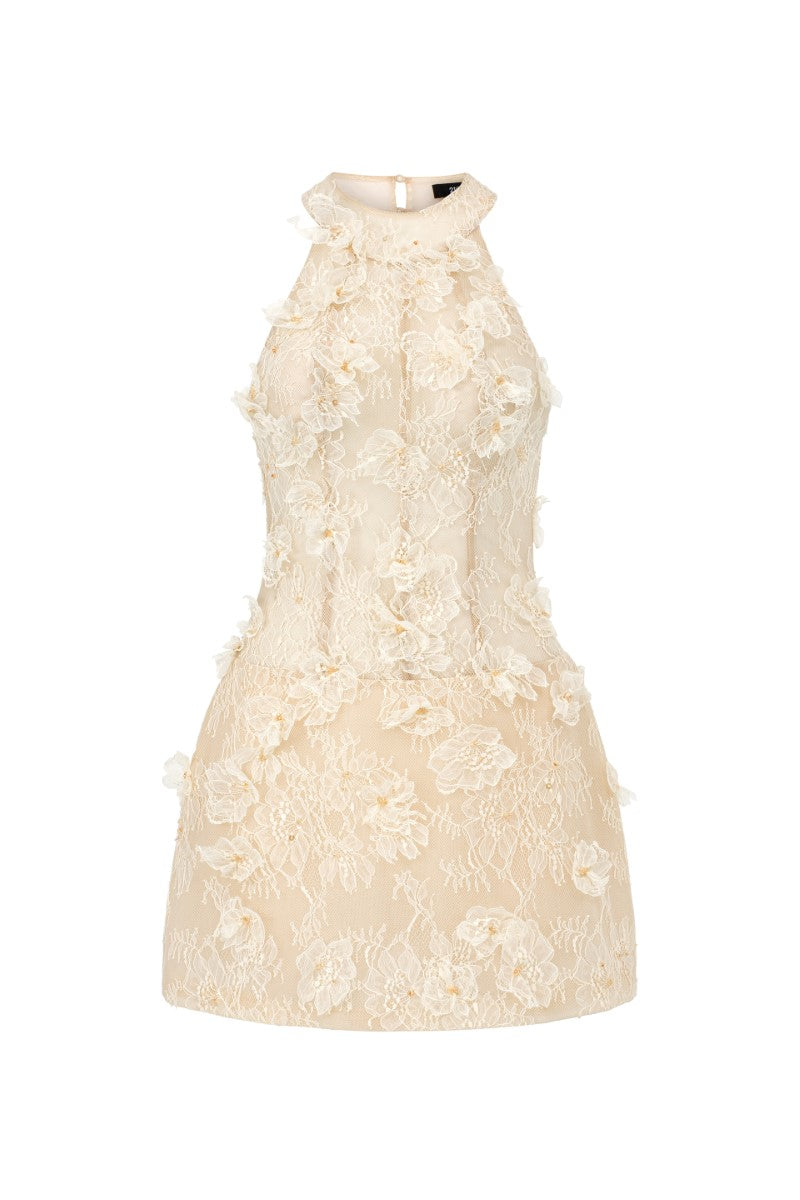 AURELIA LACE DRESS IN BEIGE - CULT MIA