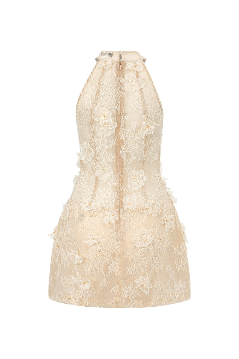 AURELIA LACE DRESS IN BEIGE - CULT MIA