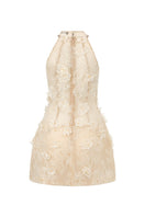 Beige Aurelia lace mini dress by 21Six, featuring intricate lace details and a stylish, fitted silhouette.