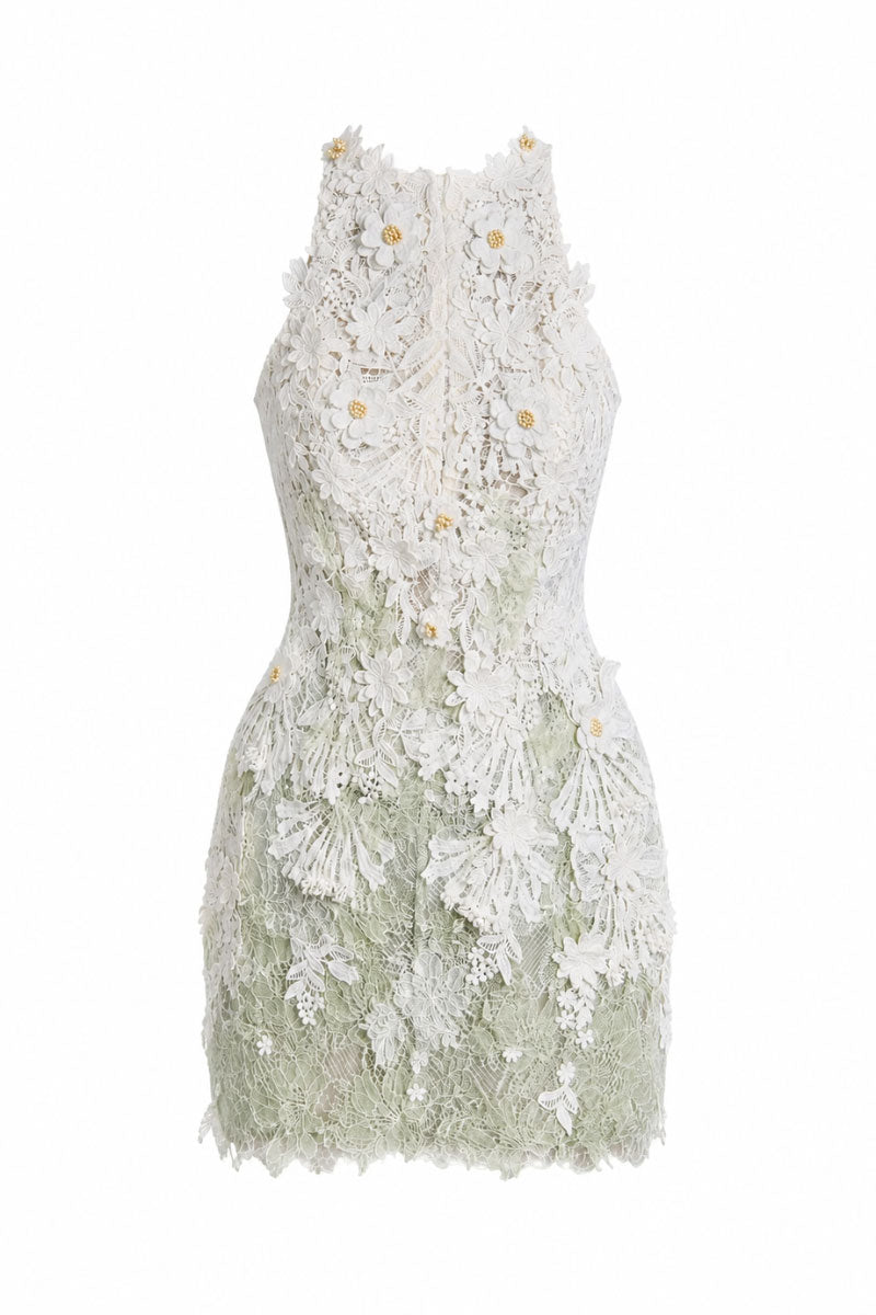 Light pink Gardenia Lace Dress by KEIRA TONG, a stylish mini dress with delicate lace details and feminine design.