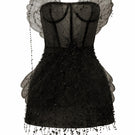 Black Sabrina lace and tulle mini dress by 21Six, featuring intricate lace details and a stylish tulle overlay.