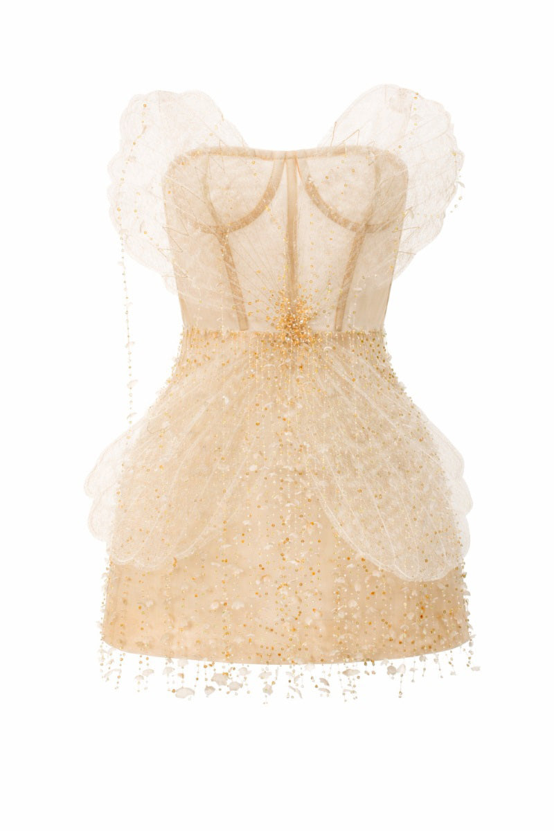 Beige Sabrina lace and tulle mini dress by 21Six, featuring delicate lace details and a flowing tulle skirt.